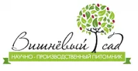 Саженцы Яблоня 2-летка Конфетное
