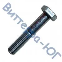 Болт с шестигранной головкой М10х55 Schumacher 13016